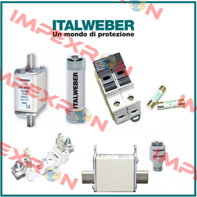 0100315  Italweber