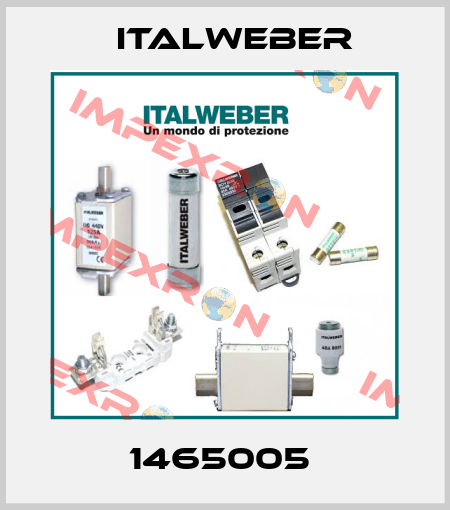 1465005  Italweber