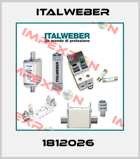 1812026  Italweber