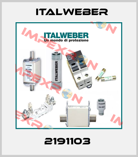 2191103  Italweber