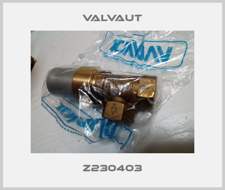 Z230403 Valvaut