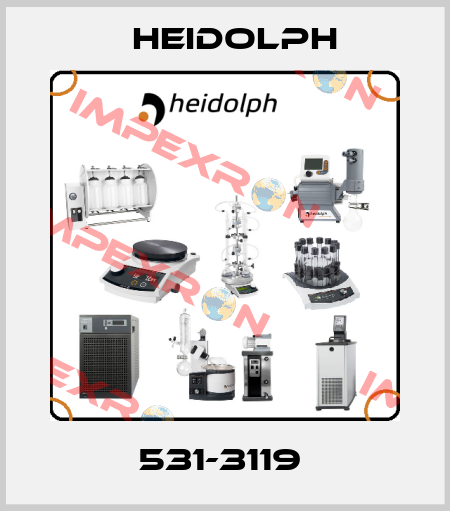 531-3119  Heidolph