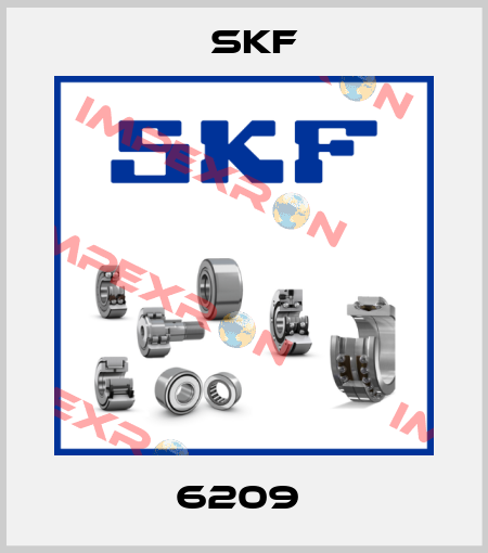 6209  Skf