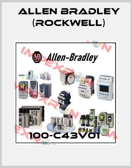 100-C43V01  Allen Bradley (Rockwell)
