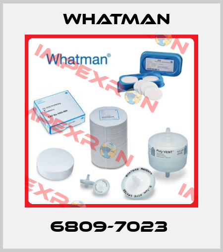 6809-7023  Whatman