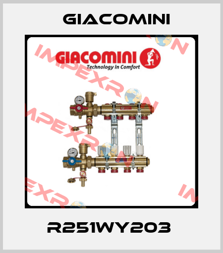 R251WY203  Giacomini