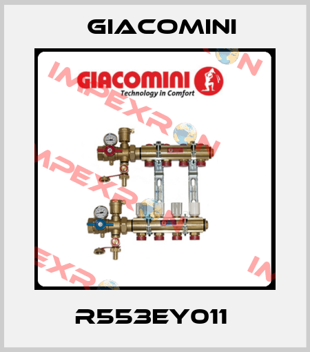 R553EY011  Giacomini