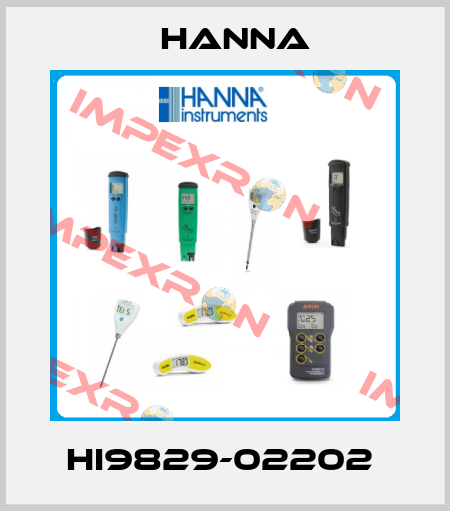 HI9829-02202  Hanna