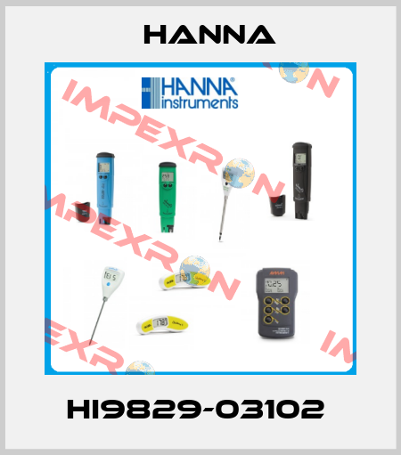 HI9829-03102  Hanna