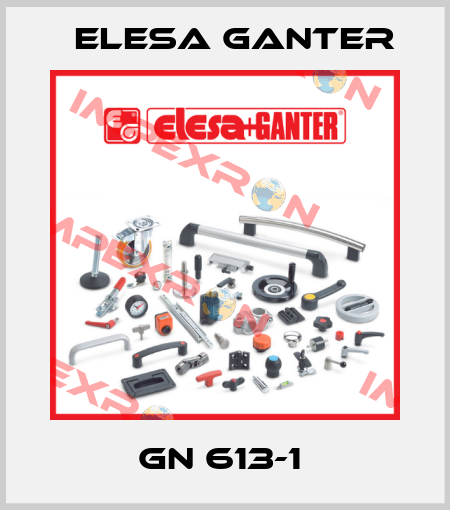 GN 613-1  Elesa Ganter