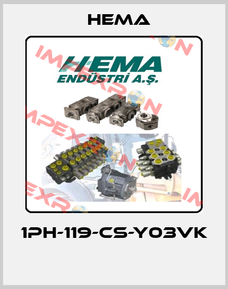 1PH-119-CS-Y03VK  Hema