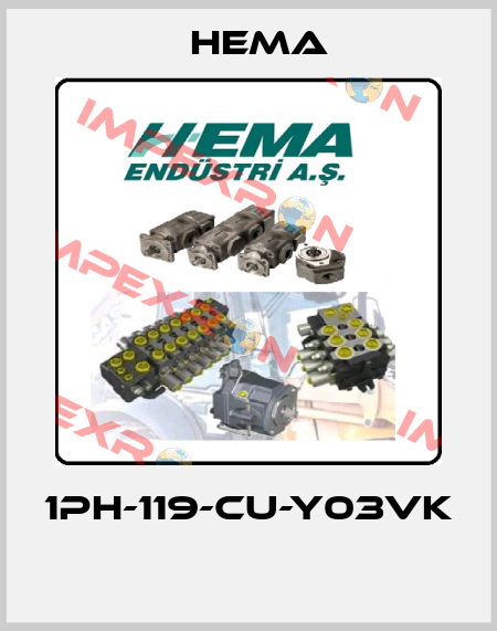 1PH-119-CU-Y03VK  Hema
