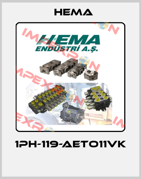 1PH-119-AETO11VK  Hema