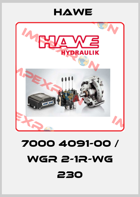 7000 4091-00 / WGR 2-1R-WG 230 Hawe