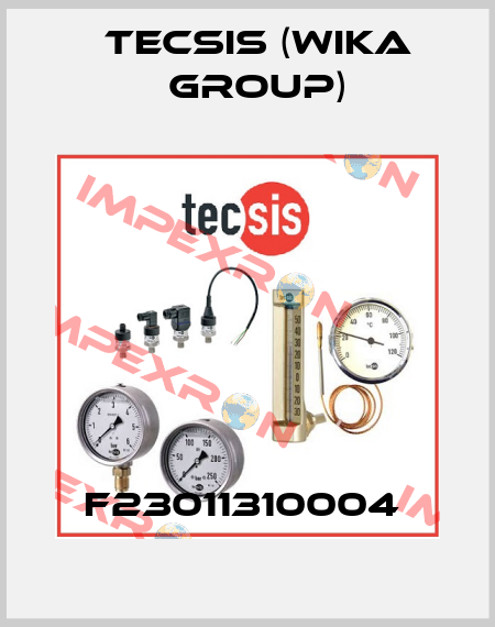 F23011310004  Tecsis (WIKA Group)