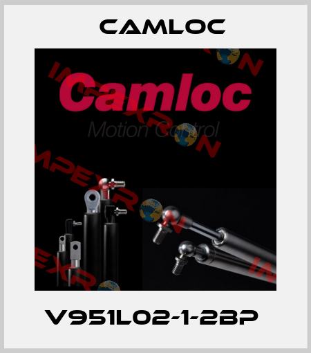 V951L02-1-2BP  Camloc
