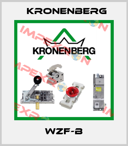WZF-B Kronenberg
