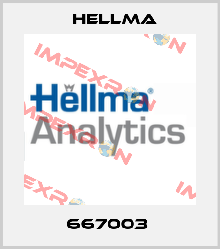 667003  Hellma