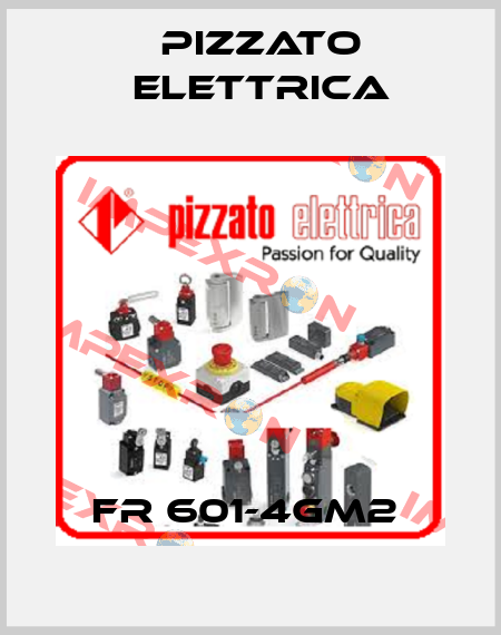 FR 601-4GM2  Pizzato Elettrica