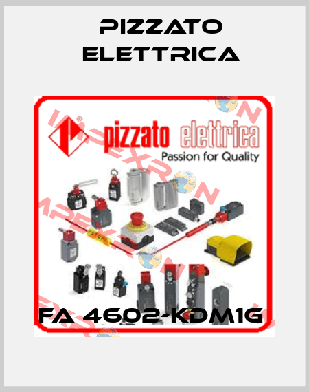 FA 4602-KDM1G  Pizzato Elettrica