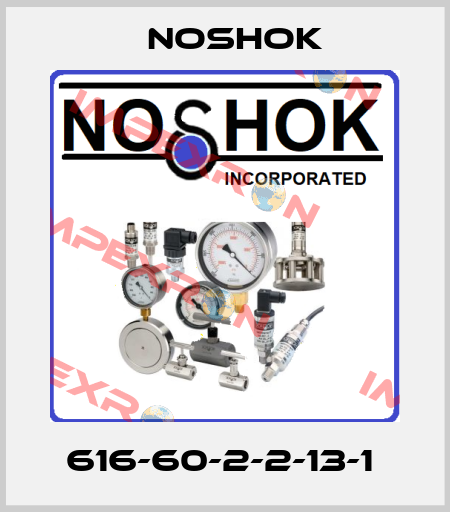 616-60-2-2-13-1  Noshok