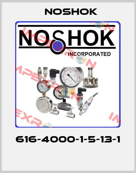 616-4000-1-5-13-1  Noshok