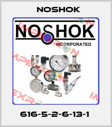 616-5-2-6-13-1  Noshok