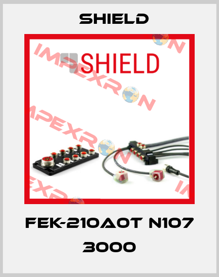 FEK-210A0T N107 3000 Shield