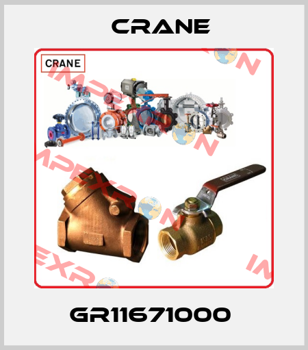 GR11671000  Crane