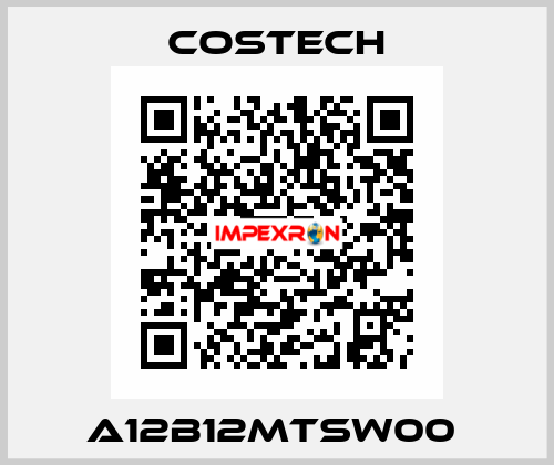 A12B12MTSW00  Costech