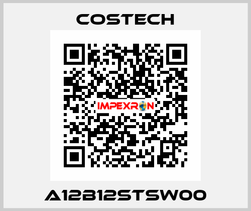 A12B12STSW00 Costech