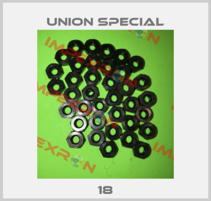 18 Union Special