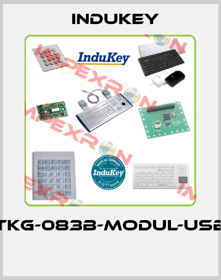 TKG-083b-MODUL-USB   InduKey