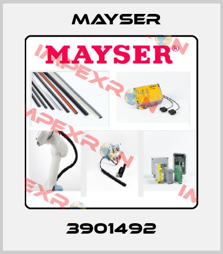 3901492 Mayser