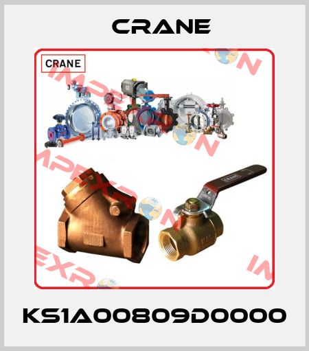 KS1A00809D0000 Crane
