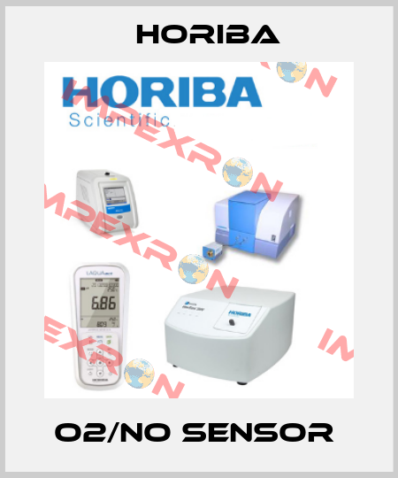 O2/NO SENSOR  Horiba