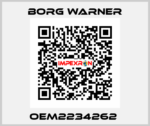 OEM2234262  Borg Warner