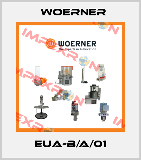 EUA-B/A/01 Woerner
