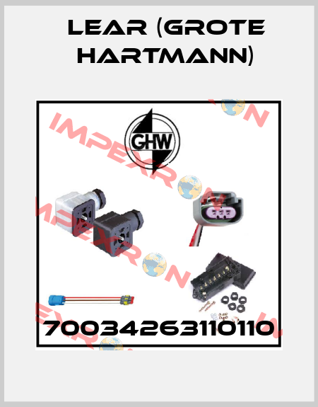 70034263110110 Lear (Grote Hartmann)