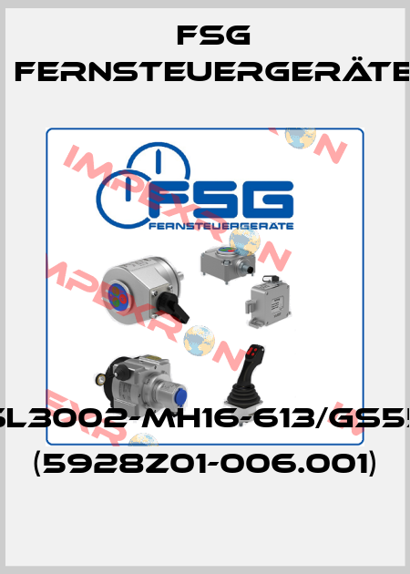 SL3002-MH16-613/GS55 (5928Z01-006.001) FSG Fernsteuergeräte