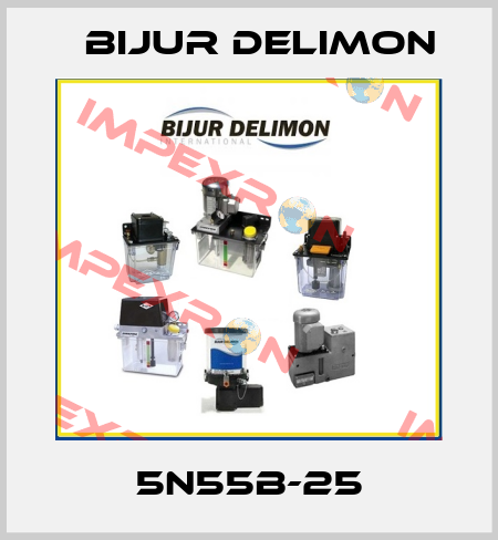 5N55B-25 Bijur Delimon