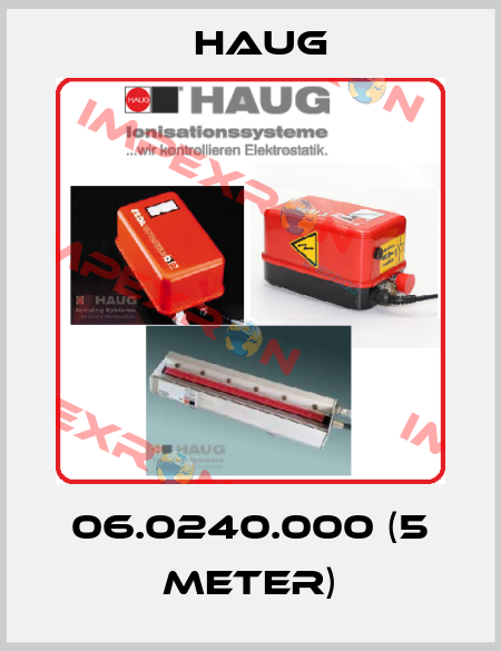 06.0240.000 (5 meter) Haug