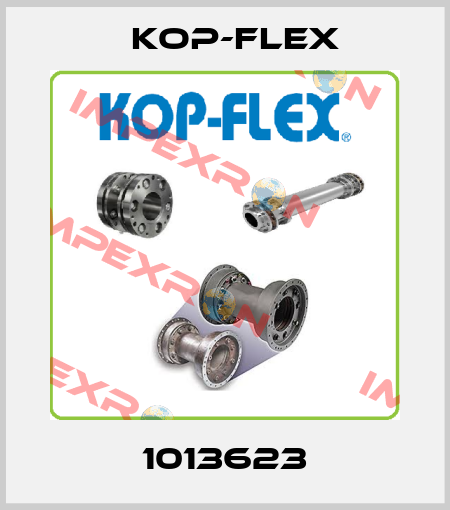 1013623 Kop-Flex