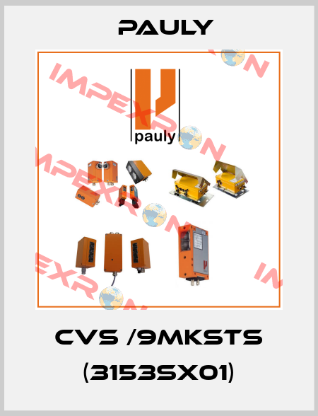 CvS /9mKSTS (3153Sx01) Pauly