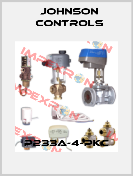 P233A-4-PKC Johnson Controls