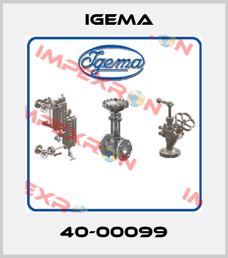 40-00099 Igema