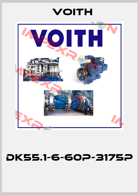  DK55.1-6-60P-3175P  Voith