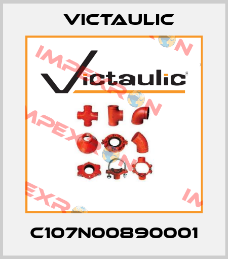 C107N00890001 Victaulic