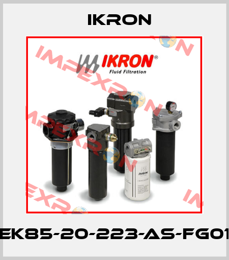 HEK85-20-223-AS-FG010 Ikron