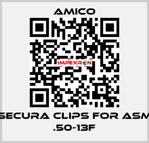 Secura Clips for ASM .50-13F AMICO